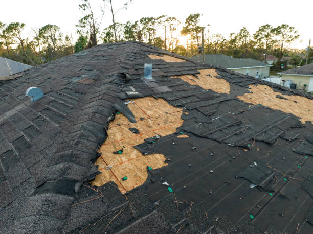 Best Sheet Metal Roofing  in Blanco, TX