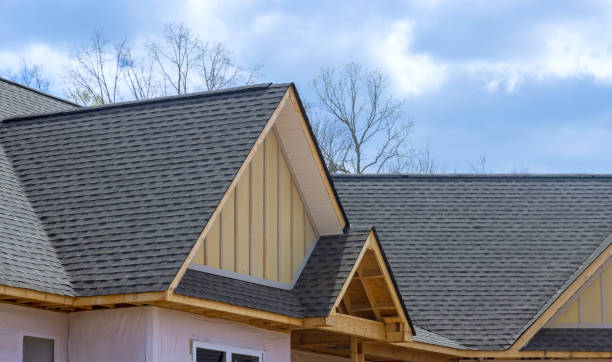 Best Solar Panel Roofing Installation  in Blanco, TX